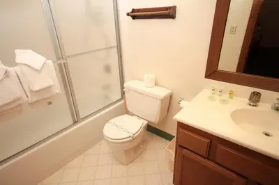 a bathroom with a toilet and a shower and a sink at Mountainback 41 Loft in Mammoth Lakes