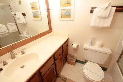 a bathroom with a sink and a toilet and a mirror at Mountainback 41 Loft in Mammoth Lakes