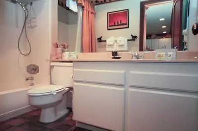 a bathroom with a toilet and a sink and a mirror at Mammoth Ski Racquet Club 67 in Mammoth Lakes