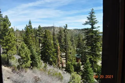 a view of a forest filled with trees at Mammoth Ski Racquet Club 54 in Mammoth Lakes