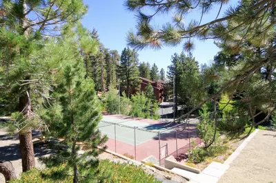 a tennis court in a forest with trees at Mammoth Ski Racquet Club 54 in Mammoth Lakes