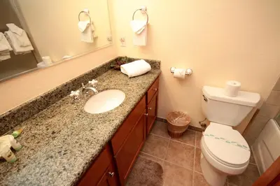 a bathroom with a sink and a toilet and a mirror at Mountainback 111 in Mammoth Lakes