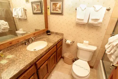 a bathroom with a toilet and a sink and a mirror at Mountainback 94 in Mammoth Lakes