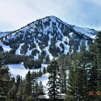 Mammoth Ski Racquet Club 38 - Pet ok - Loft