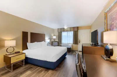 a hotel room with a bed and a television at Best Western Fallon Inn & Suites in Fallon