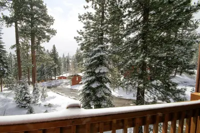 a snow covered pine tree on a deck with trees at Mammoth Ski Racquet Club 74 1 Bdrm Loft in Mammoth Lakes