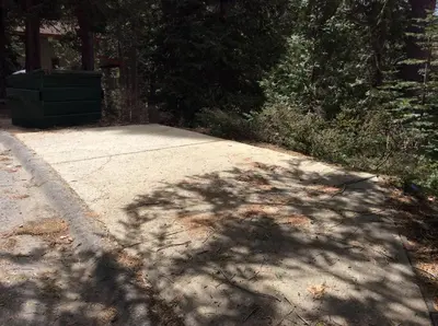 a shadow of a tree on a sidewalk at Jumping Deer in Yosemite West