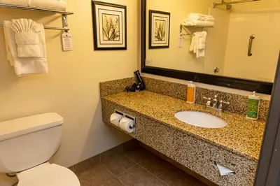 a bathroom with a sink and a toilet and a mirror at Lake Natoma Inn in Folsom