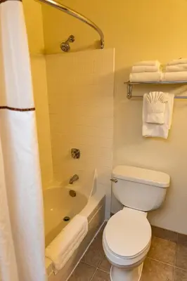a bathroom with a white toilet and a bath tub at Lake Natoma Inn in Folsom