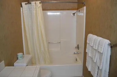 a bathroom with a shower and a toilet and a sink at Cedar Lodge in El Portal