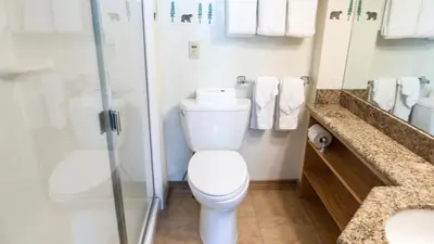 a bathroom with a toilet and a glass shower at Ski Trails 4042 in Truckee
