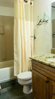 a bathroom with a toilet and a sink and a shower at Ski Trails 4058 in Truckee