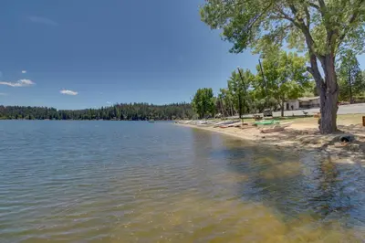 a beach with a tree and some water and trees at Rustic Retreat in Groveland