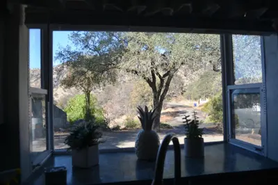 a window with potted plants sitting on a table at Shady Knoll in Three Rivers