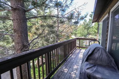 a porch with a tree and a window with a couch at Timberline Condominium #44 in Mammoth Lakes