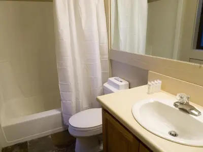 a bathroom with a sink and a toilet and a mirror at 3174 Aspen Grove in Truckee