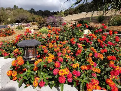 a garden of flowers with a light in the middle at Yosemite Foothill Retreat in Coarsegold