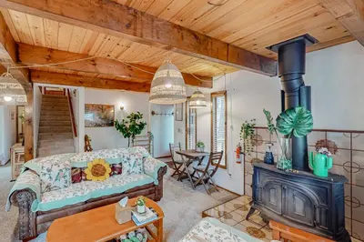 a living room with a couch and a wood stove at Mitthas Tapovan in Arnold