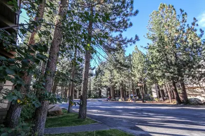 a street with trees on the side of a road at Horizons Condo 4 #166 in Mammoth Lakes