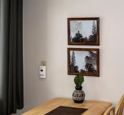 two pictures on a wall with a table with a plant at Gull Lake Lodge in June Lake