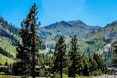 a group of trees in front of a mountain at Resort at Squaw Creek 808 in Olympic Valley
