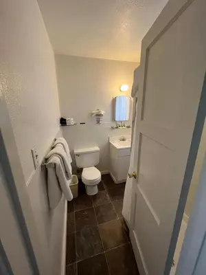 a small bathroom with a toilet and a sink at June Lake Villager in June Lake