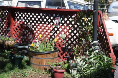 a bunch of plants in pots in front of a fence at El Rancho Motel in Bishop