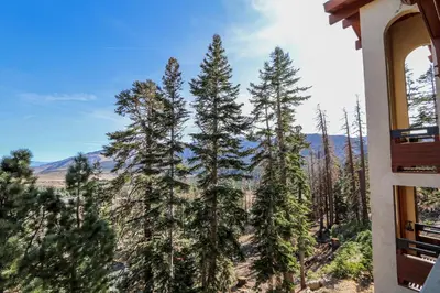 a view of trees from a window of a building at Bridges #209 Condo in Mammoth Lakes