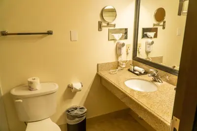 a bathroom with a toilet and a sink and a mirror at Hotel Piccadilly in Fresno