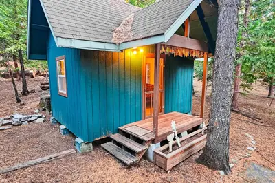 a blue house with a porch and a tree at Pine Paradise in Camp Connell