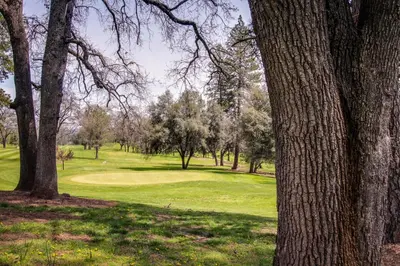 a golf course with trees and a green at Cozy Chalet (15-013) in Groveland