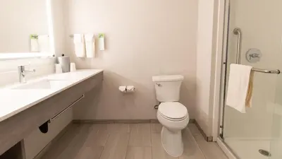 a bathroom with a toilet and a sink and a shower at Holiday Inn Express Oakdale by IHG in Oakdale
