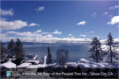 a view from the floor of the paper trap tree inn at Pepper Tree Inn Tahoe City in Tahoe City