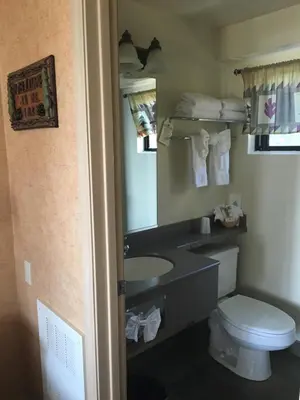 a bathroom with a toilet and a sink and a mirror at Pepper Tree Inn Tahoe City in Tahoe City