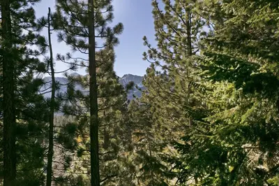 a view of the mountains through the trees at Mammoth Village Properties by 101 Great Escapes in Mammoth Lakes