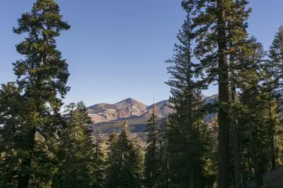 a group of trees with a mountain in the background at Timber Ridge Resort by 101 Great Escapes in Mammoth Lakes