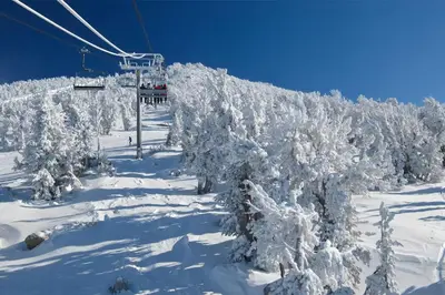a ski lift with snow covered trees on a ski slope at Chateau Blanc 23 in Mammoth Lakes