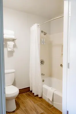 a white bathroom with a toilet and a shower at Quality Inn & Suites Lathrop in Lathrop