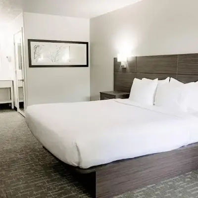 Quality Inn & Suites Lathrop