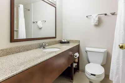 a bathroom with a toilet and a sink and a mirror at Comfort Inn & Suites Near Fallon Naval Air Station in Fallon