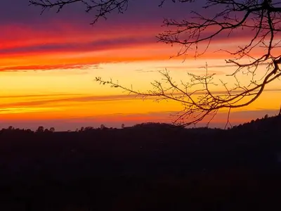 a sunset over a field with a tree at Yosemite Foothill Retreat - Private Guest Suite #2 in Coarsegold