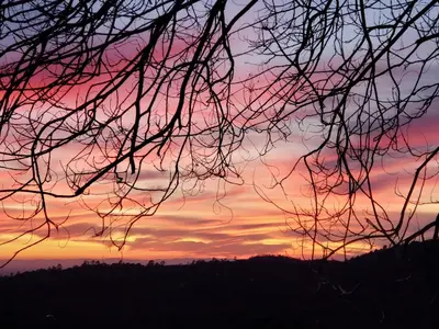 a tree branch with a sunset in the background at Yosemite Foothill Retreat - Private Guest Suite #2 in Coarsegold
