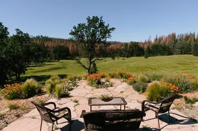 a patio with three chairs and a table in a garden at Red Tail Ranch in Groveland