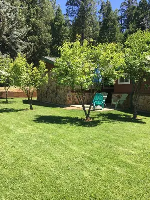 a green park bench in a yard with trees at Arnold Meadowmont Lodge in Arnold