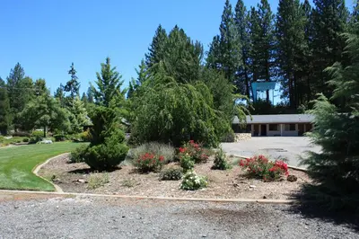 a driveway with trees and flowers in a yard at Mother Lode Motel in Placerville