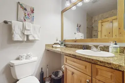 a bathroom with a toilet and a sink and a mirror at Dolomite Delight in Truckee