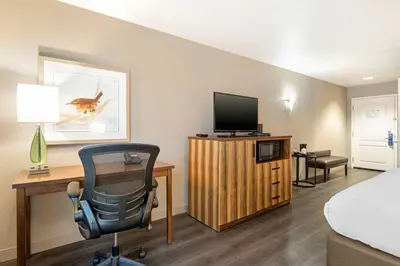 a hotel room with a bed and a television at Best Western Cedar Inn & Suites in Angels Camp