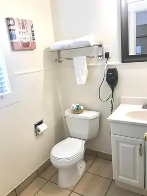 a bathroom with a white toilet and a sink at El Dorado Motel in Twain Harte