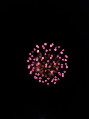 a round pink flower in the dark at Atomic Inn Beatty Near Death Valley in Beatty