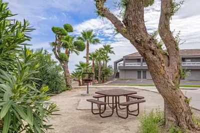 a picnic table with two benches next to a tree at Quality Inn Kettleman City near Hwy 41 in Kettleman City